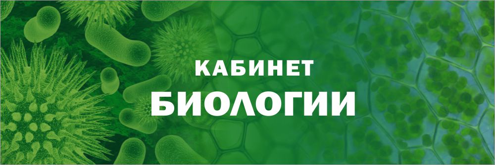 Шкафы в кабинет биологии